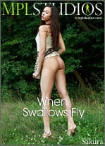 When Swallows Fly : Sakura from MPL Studios, 18 Aug 2016
